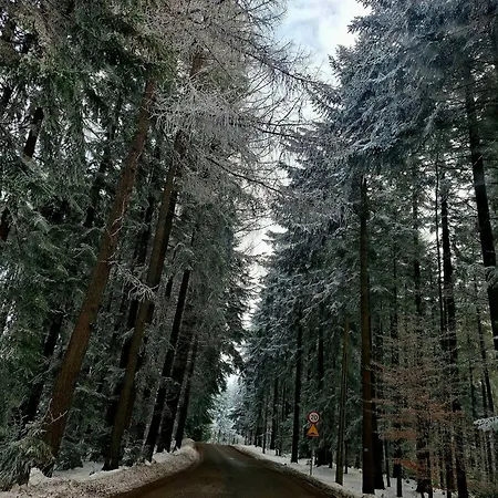 Krynica Zdroj - Dom Nad Woda Kır Evi Piorunka