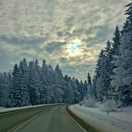 Krynica Zdroj - Dom Nad Woda Venkovský dům Piorunka