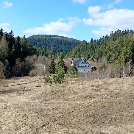 Krynica Zdroj - Dom Nad Woda Kır Evi Piorunka